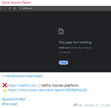 Dark Storm Team瞄准Netflix网站
