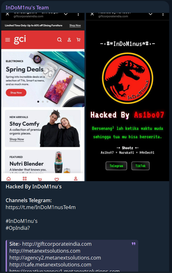 InDoM1nu的目标是Meta Nxt Solutions Private Limited网站
