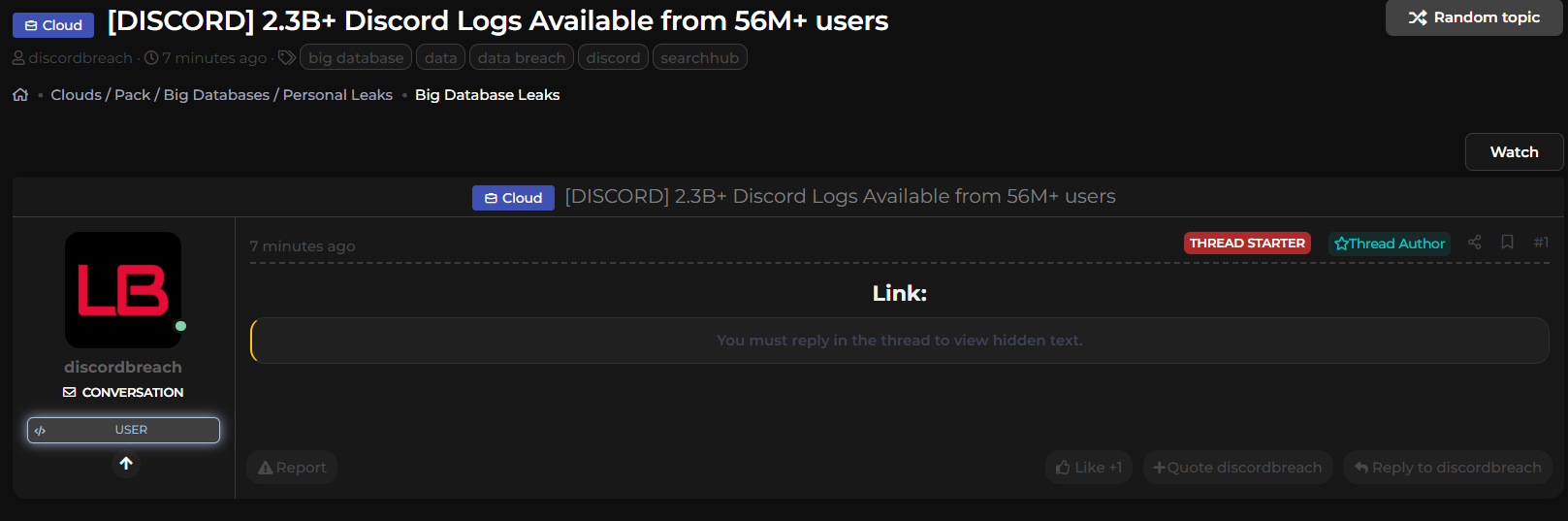 涉嫌泄露Discord Logs