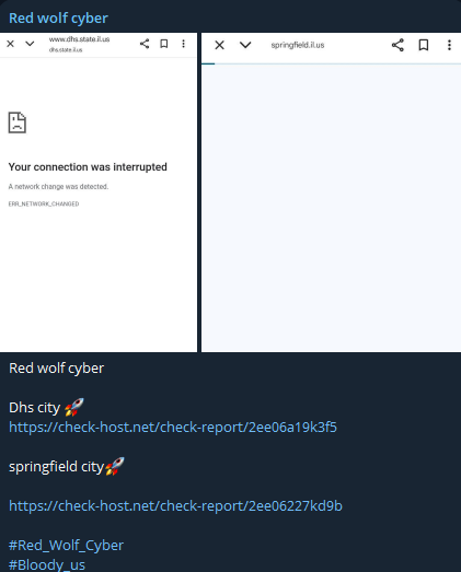 Red狼cyber瞄准伊利诺斯人类服务部网站
