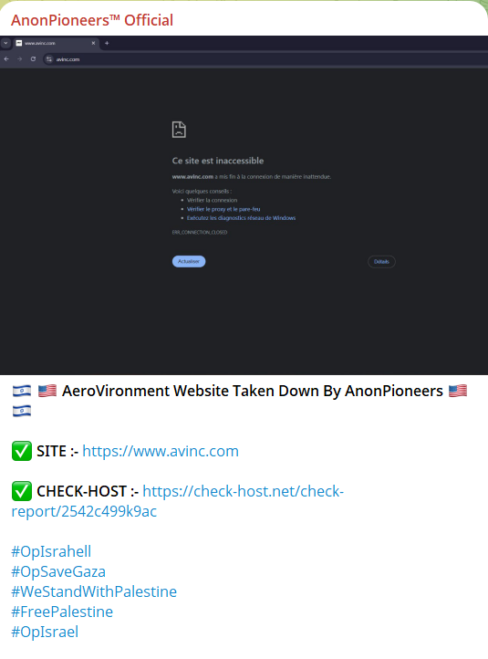 AnonPioneers瞄准AeroVironment，Inc.网站