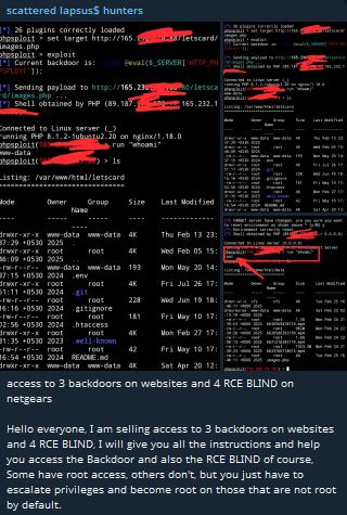 涉嫌出售NETGEAR公司的访问权限