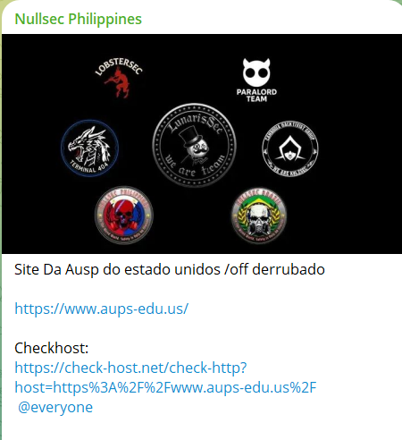 Nullsec Philippines针对American professional研究大学网站