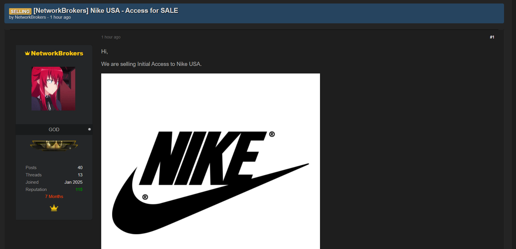 涉嫌出售未经授权访问Nike、Inc.