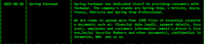 Spring鞋类成为Akira勒索软件的受害者