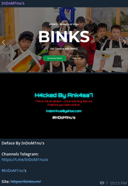 InDoM1nu的目标是Binks的网站