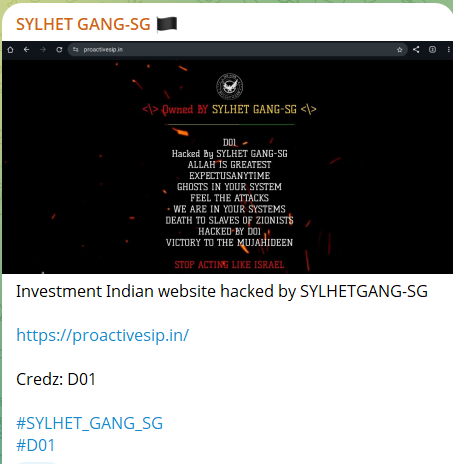 SYLHET GANG-SG的目标是主动Professional服务私人有限公司的网站。