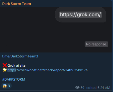 Dark Storm Team瞄准Grok网站