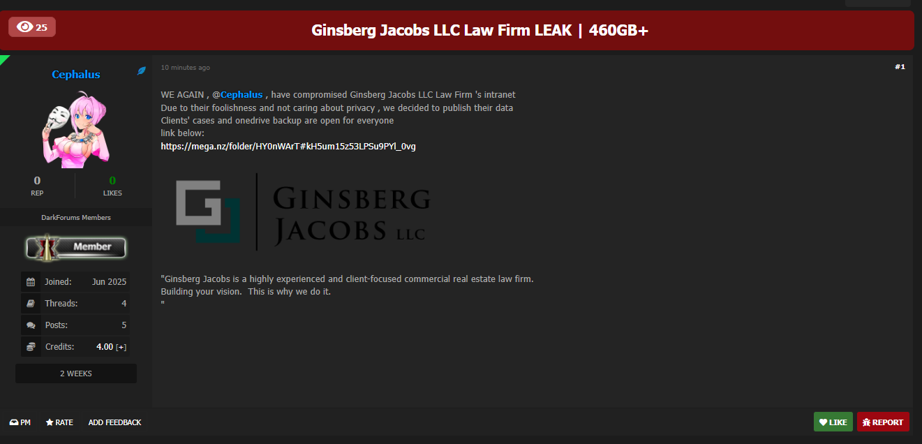 Ginsberg Jacobs LLC涉嫌数据外泄