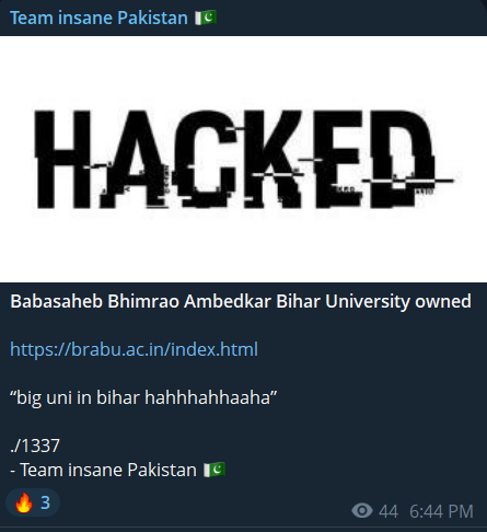 Team insane Pakistan针对Babasaheb Bhimrao Ambedkar比哈尔大学网站