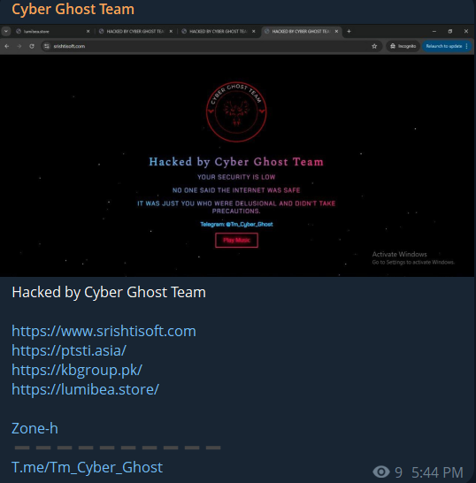 Cyber幽灵小组的目标是Srishti软件应用私人有限公司的网站。