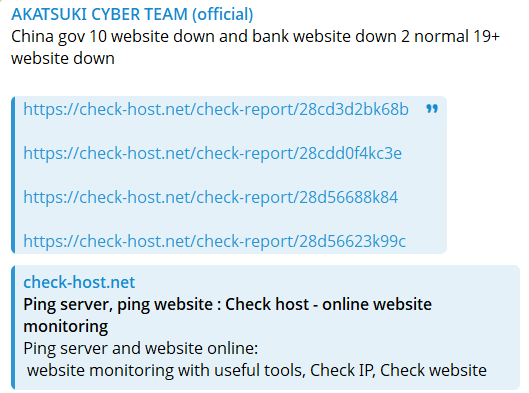 晓cyber团队瞄准美国中国签证网站