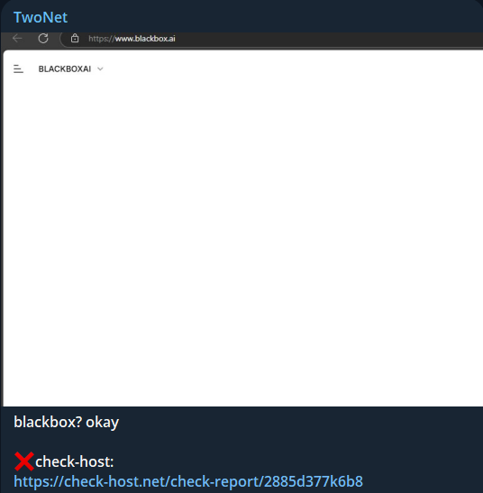 TwoNet瞄准Blackbox AI网站