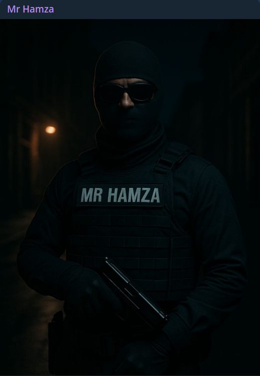 Mr Hamza瞄准RTX网站