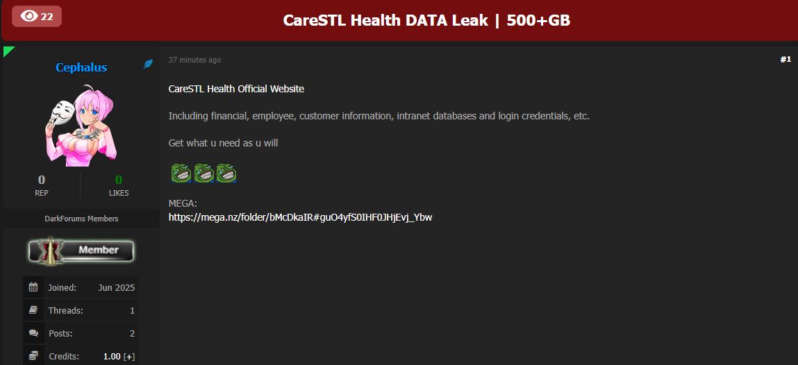 CareSTL Health涉嫌泄密