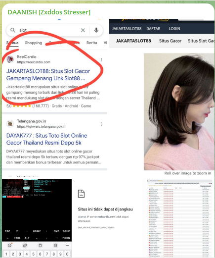 Zxddos Stresser针对ReelCardio网站