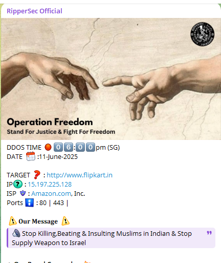 RipperSec瞄准Flipkart网站