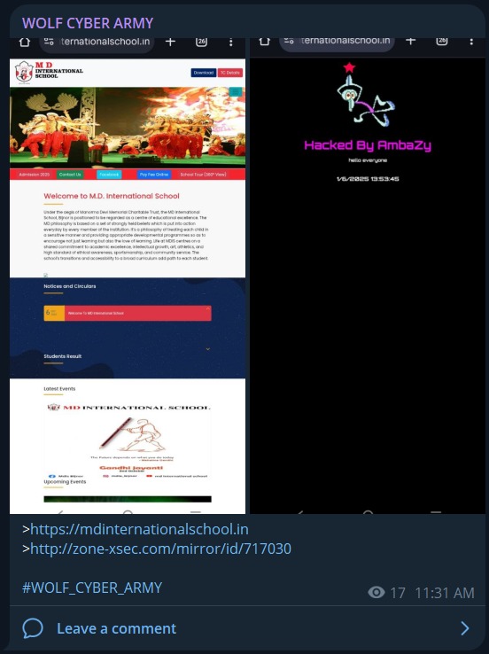 Wolf Cyber Army瞄准MD国际学校网站