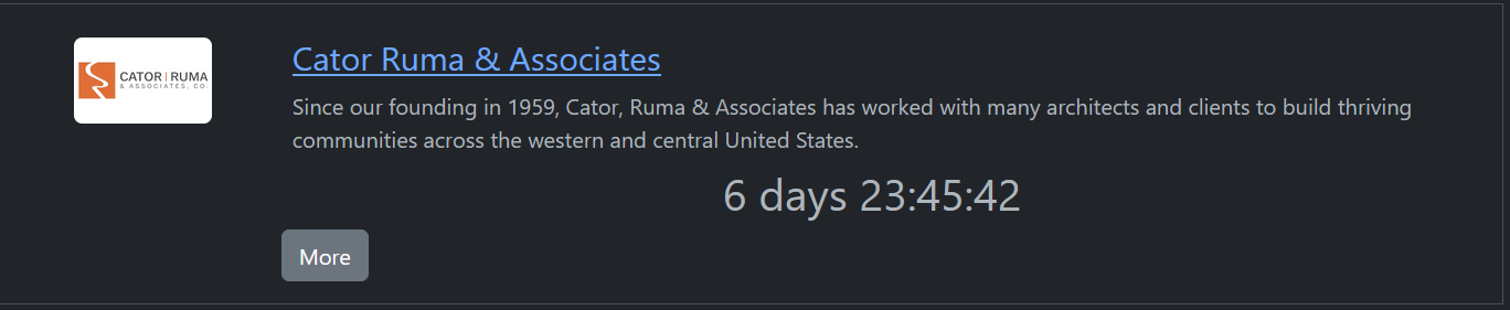 Cator、Ruma&Associates成为RHYSIDA勒索软件的受害者