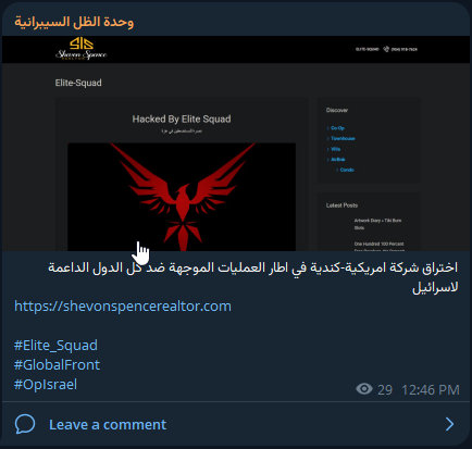 Cyber shade部门瞄准Shevon Spence房地产经纪人的网站