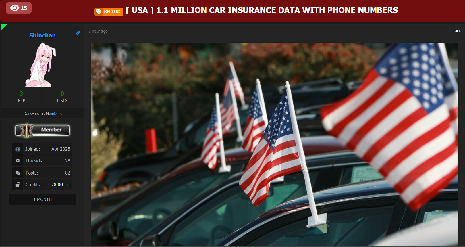 涉嫌出售110万份带有美国电话号码的汽车Insurance数据