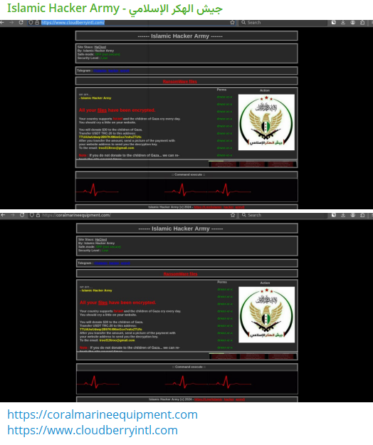 Islamic Hacker Army瞄准Cloudberry International Trading网站