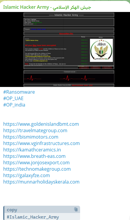 Islamic Hacker Army瞄准VG基础设施网站