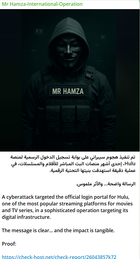 Mr Hamza瞄准Hulu登录页面的网站