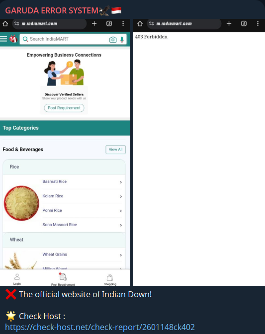 GARUDA ERROR SYSTEM瞄准IndiaMART InterMESH Limited网站