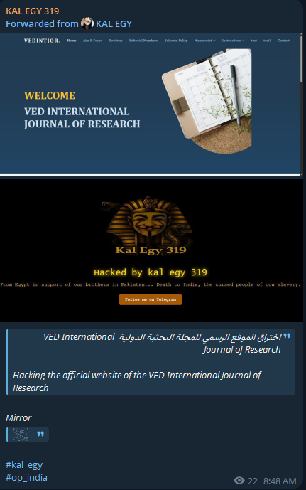 KAL EGY 319瞄准VED国际研究杂志网站