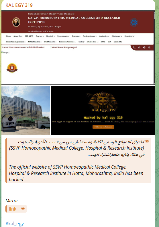 KAL EGY 319瞄准了S.S.V.P.的网站。顺势疗法医学院、医院和研究所
