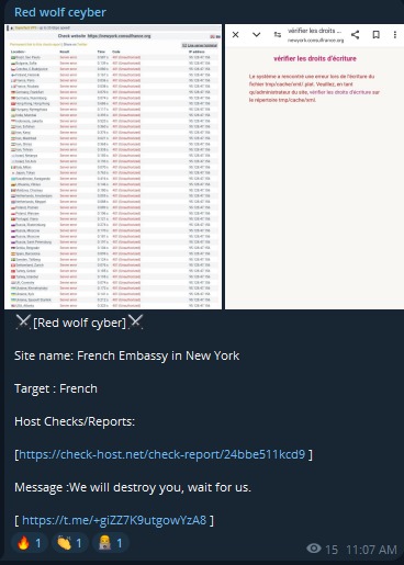 Red·沃尔夫·塞伯针对法国驻纽约总领事馆网站