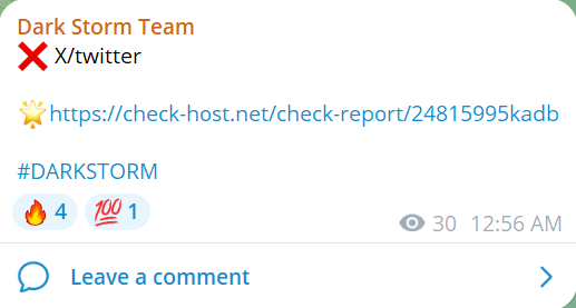 Dark Storm Team瞄准推特网站
