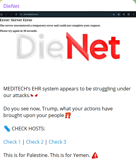 DieNet瞄准MEDITECH网站