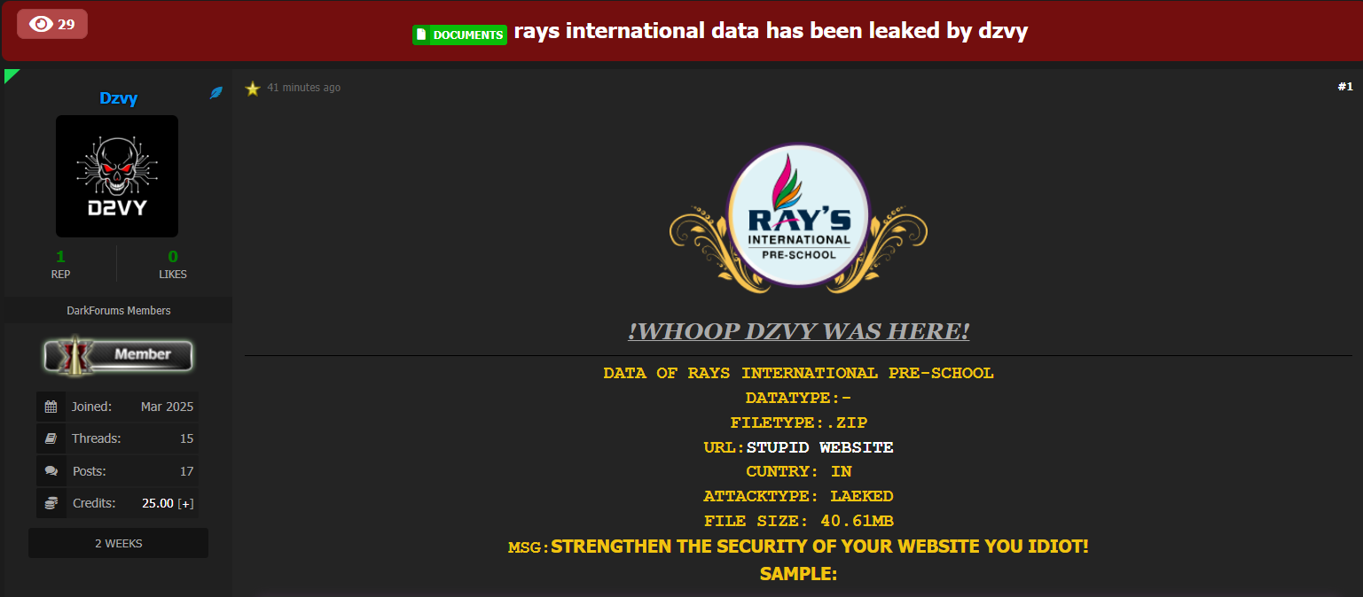RAYS国际幼儿园涉嫌数据泄露