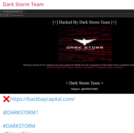 Dark Storm Team瞄准后湾资本公司网站
