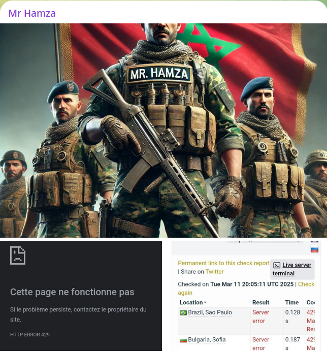 Mr Hamza瞄准Meta AI网站