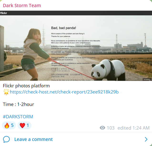 Dark Storm Team瞄准Flickr网站
