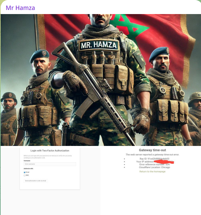 Mr Hamza瞄准联邦调查局网站