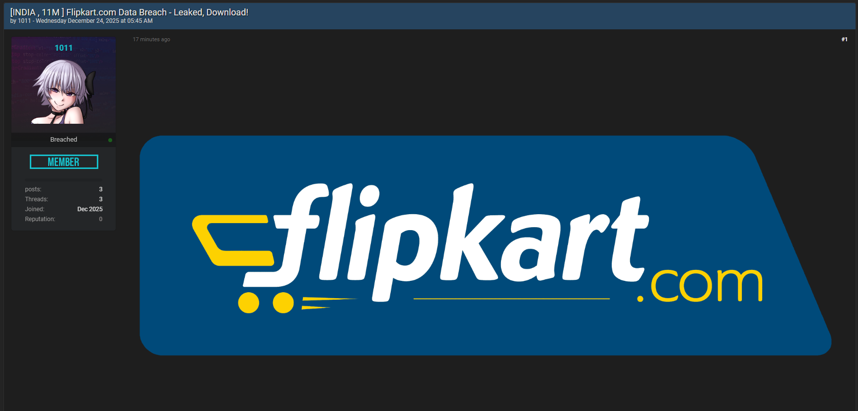 Flipkart互联网Private有限公司涉嫌泄漏