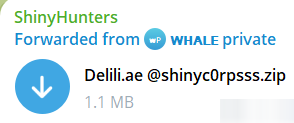 Alleged data leak of delili