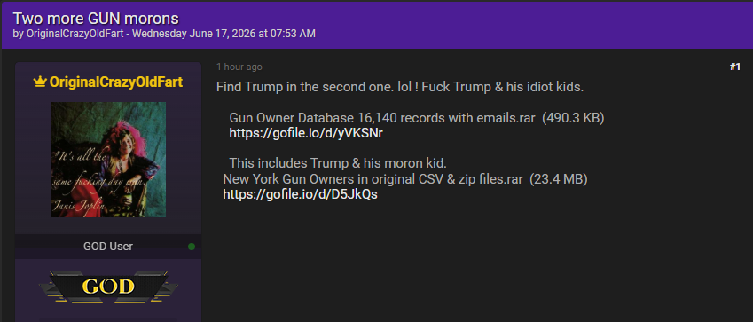 Alleged leak of New York gun owner records