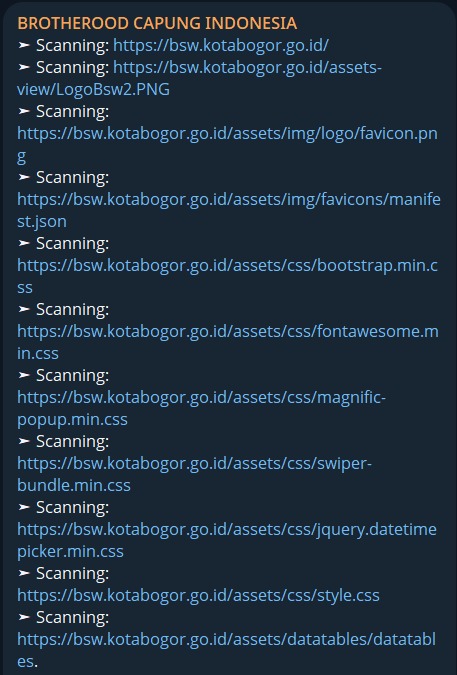 Dark Storm Team targets multiple domains of Indonesia’s Bogor Single Window