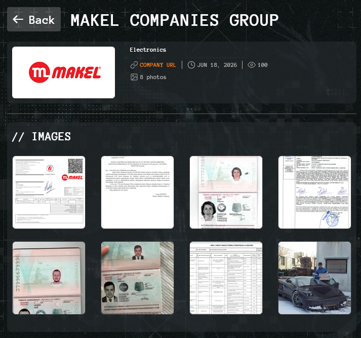 Makel Elektrik falls victim to Qilin Ransomware