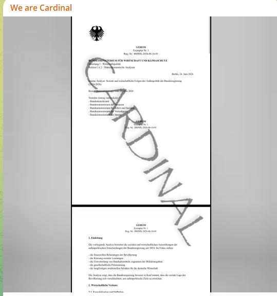 Alleged Leak of a German Government Document