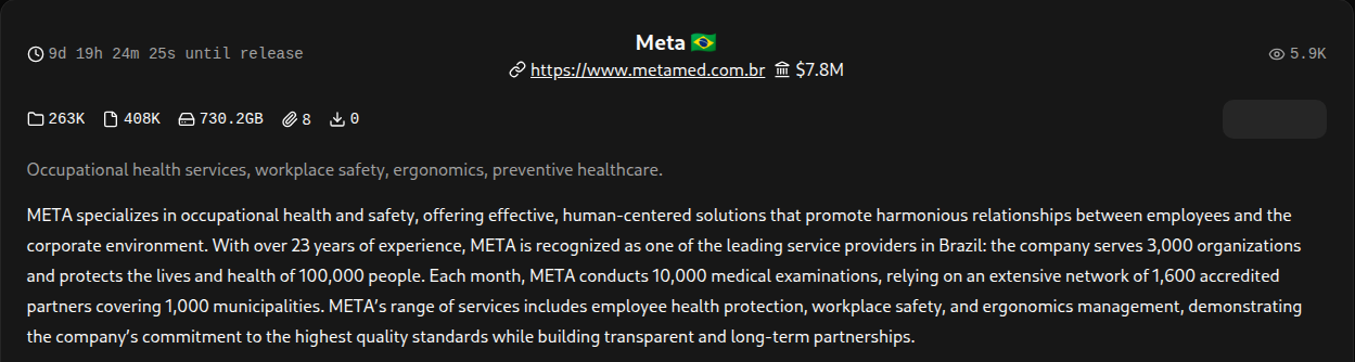 META falls victim to BravoX Ransomware