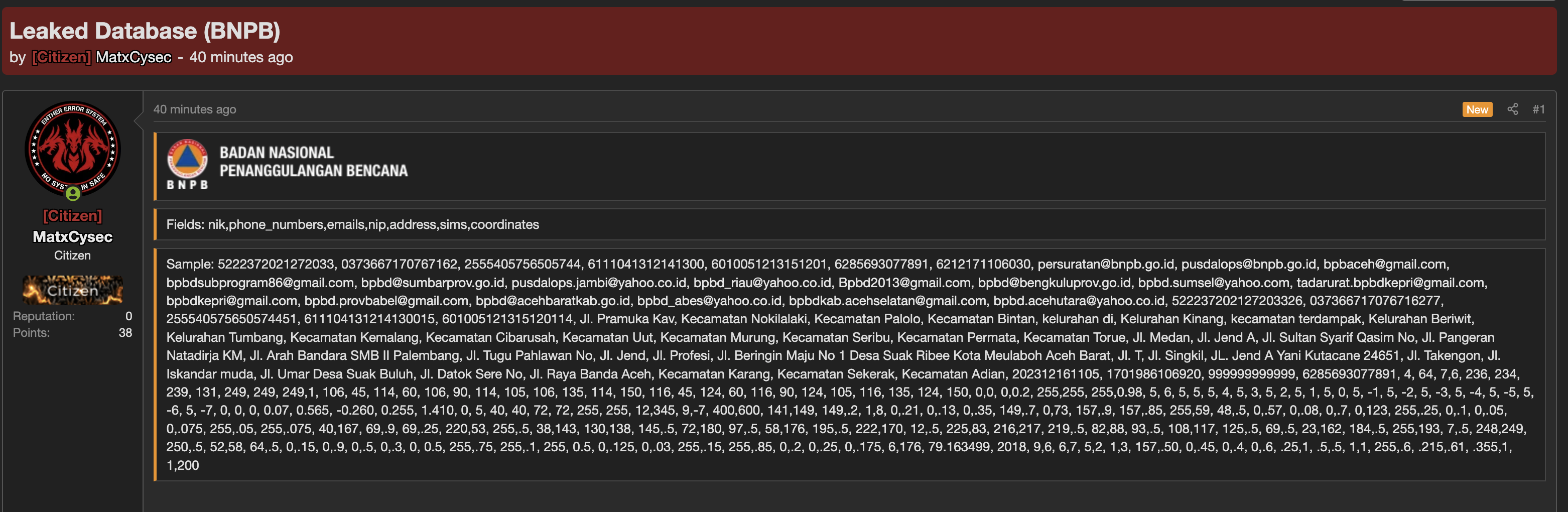 Alleged data breach of Badan Nasional Penanggulangan Bencana