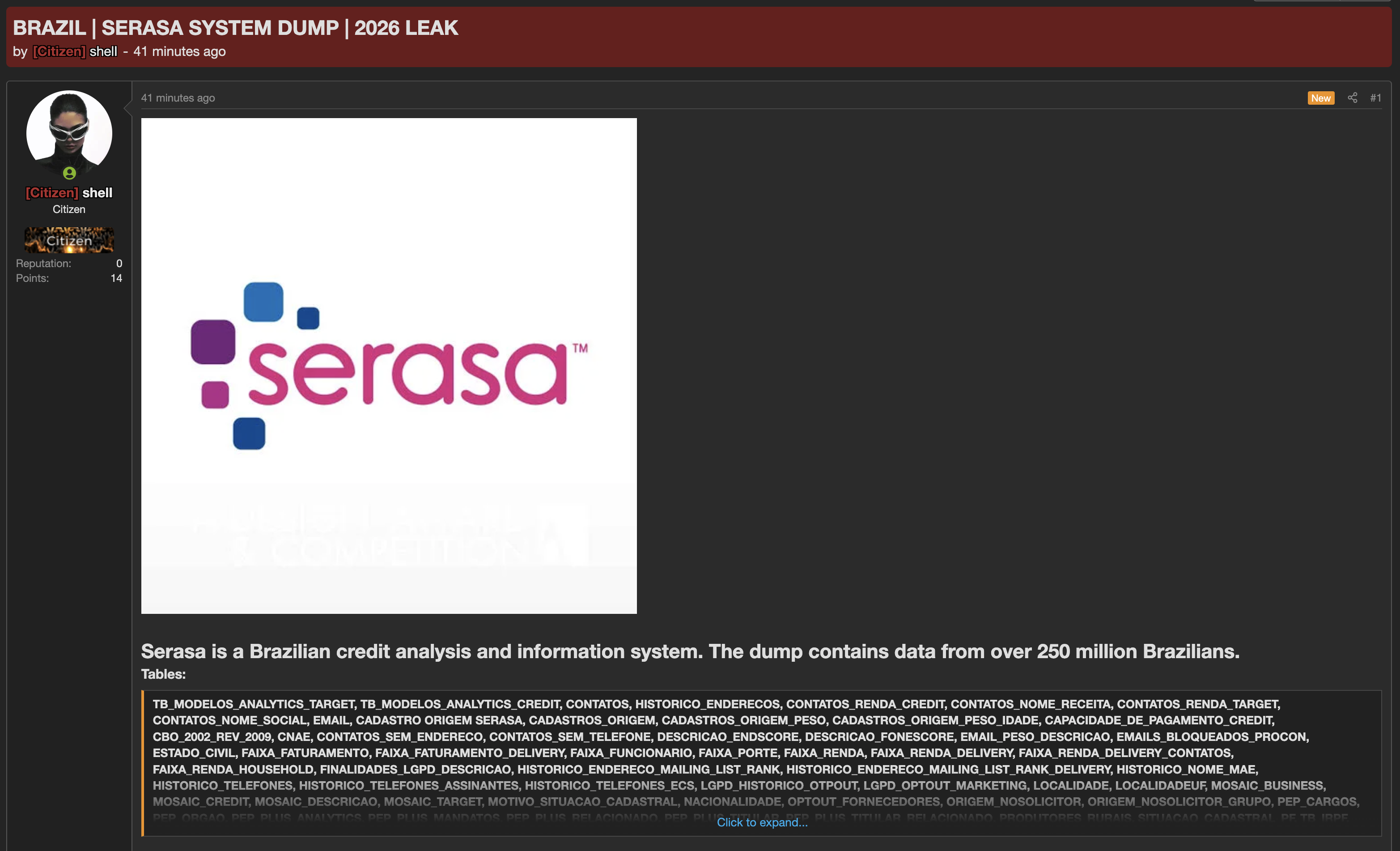 Alleged Data Breach of Serasa