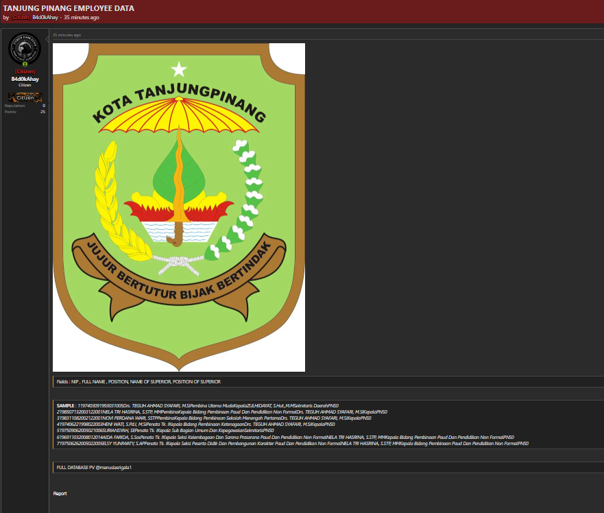 Alleged data sale of Tanjungpinang City Government